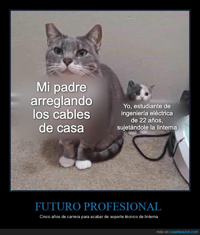 electricidad,padre,ingenier&iacute;a,estudiante,gatos