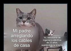 Enlace a El becario más cualificado que ha tenido nunca mi padre