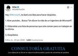 Enlace a El consultor de recursos humanos que Microsoft no había pedido
