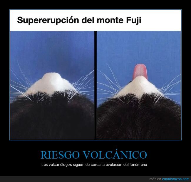 gato,Fuji,volc&aacute;n,erupci&oacute;n,lengua