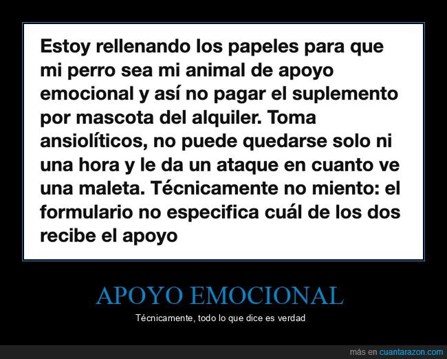 perro,alquiler,ansiedad,mascotas,tuits