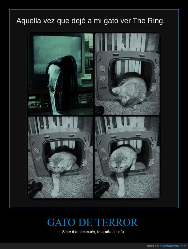 gatos,the ring,terror,halloween,peliculas