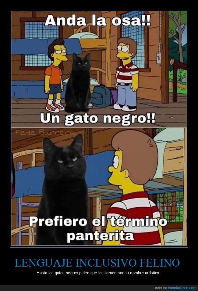 gato,Simpsons,panterita,campamento,superioridad