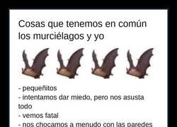 Enlace a Parentesco confirmado