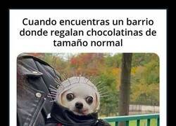 Enlace a Halloween de clase alta