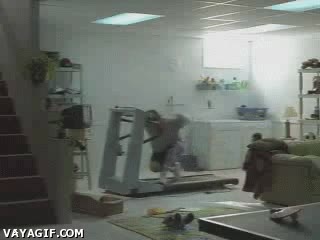 torta,deporte,cinta mecánica,correr