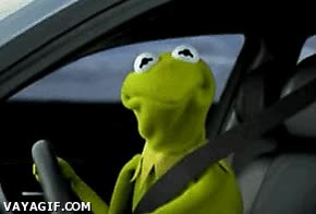 rana gustavo,miradas,kermit,christian bale