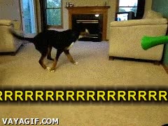 vuvuzela,venganza,perro,cagar,cagada