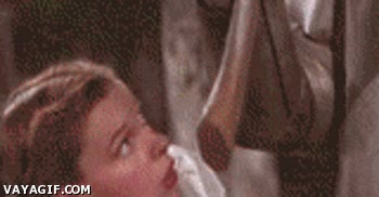 mago de oz,ibra,hojalatan,hojalata,dorothy