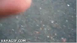 salto,hostia,barranco