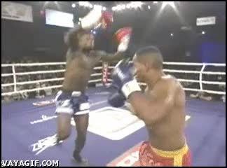 voladora,patada,boxeo