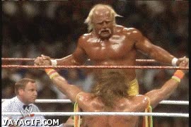 wwf,wwe,wrestling,tna,lucha libre,hulk hogan