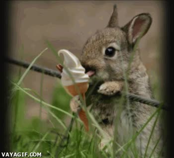 helado,comiendo,blanco