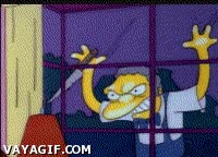 ventana,moe
