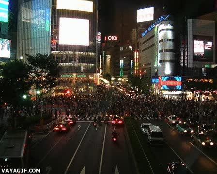 paso de cebra,japones