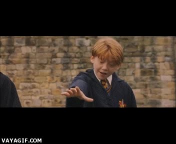 up,ron,potter,harry,escoba