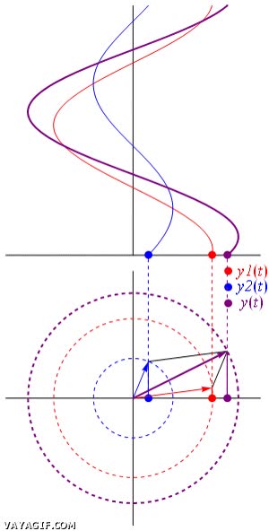 wtf,fisica