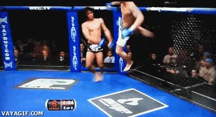 patada giratoria,patada,lucha,bestia