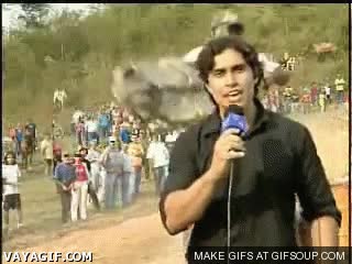 camara,caballo
