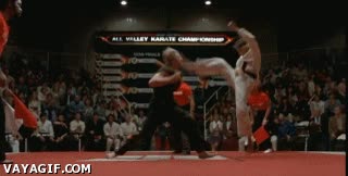 pelicula,miyagi,kid,karate,grulla,dar,cera