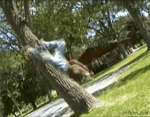 caida,árbol