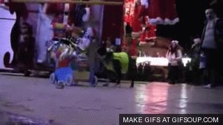 perro,limpia,gracioso,calle