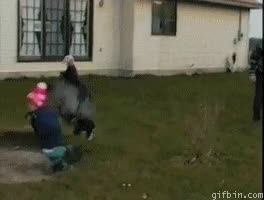 venganza,pavo,empujar,bebe