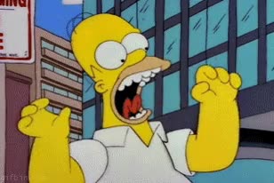 york,simpson,nueva,multa,homer,gritar,chillar