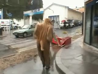 remi,gaillard,de,charco,agua