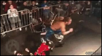 pelea,ganador