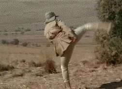 hostia,pimpam,bud spencer,golpe