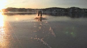 polo norte,noruega,nadar,hielo,crack