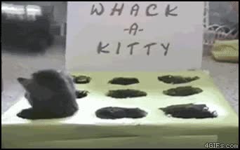 whack,kitty,juego,gato