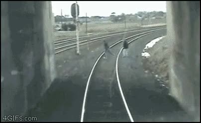 tren,atropello