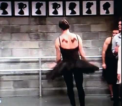 swan,negro,cisne,carrey