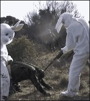 venganza,militares,escopeta,conejos,cazadores