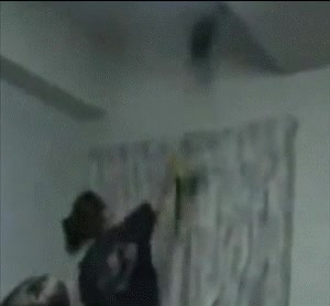 ostia,cara,intento,matar,araña,fail