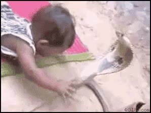 serpiente,loco,bebe,anormal