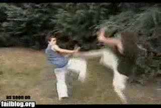 yema,huevos,huevo,comida,clara