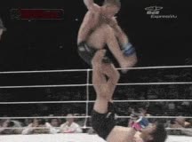 test&iacute;culos,patada,partes,lucha,huevos,castraci&oacute;n,capado,adi&oacute;s