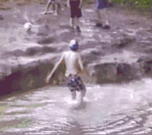 hostia,charco,agua
