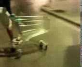 torpe,inutil,carro,carrito,caida