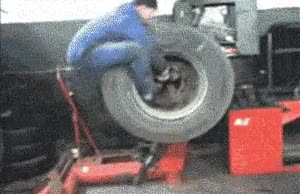 Vueltas,rueda,parece un hamster,el amo