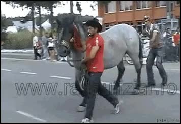 coz caballo gilipollas