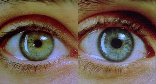 pupila,ojo,dilatar,atracción