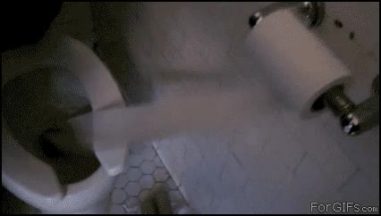 wc,váter,papel,infinito