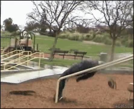 saltar,hostia,golpe,espalda,columna,adi&oacute;s