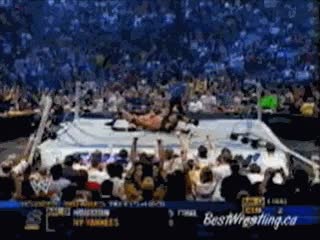 wwf,tatami,ring,pelea