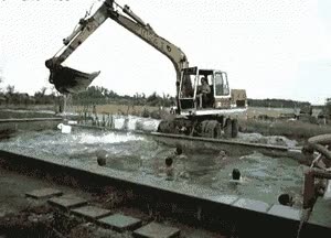 ba&ntilde;o,agua,ducha