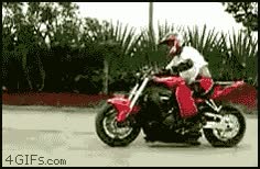 moto,boss,fuck yea